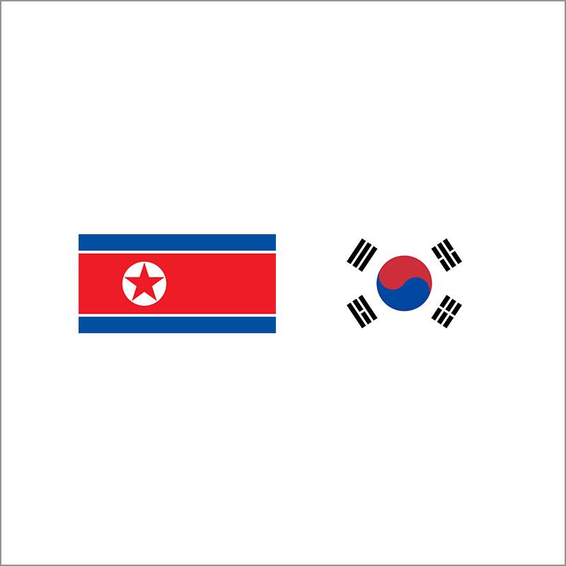 North and South Korea Initiatives