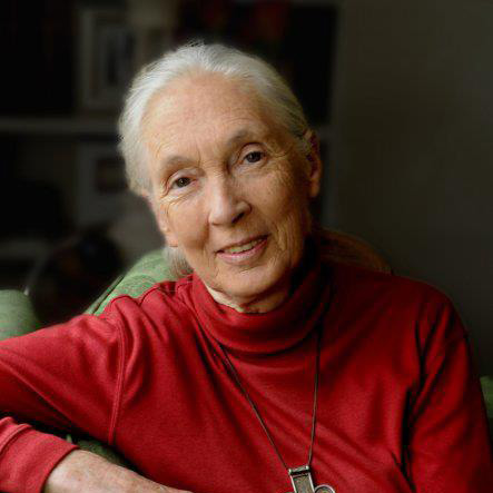 Jane Goodall, DBE